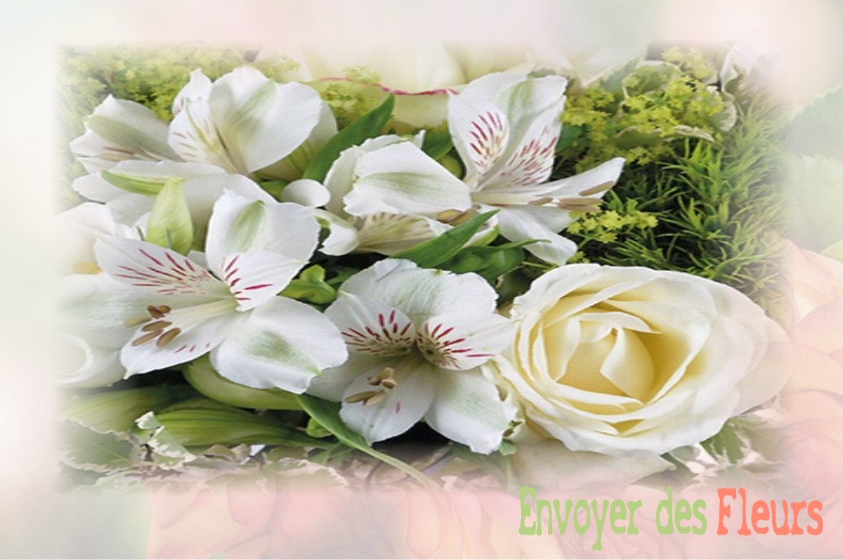 envoyer des fleurs à à SAINT-HILAIRE-LE-VOUHIS